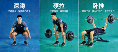 健身房力量训练指导动作示范图